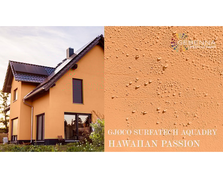 SURFATECH FARVEKORT BHAWAIIAN PASSION